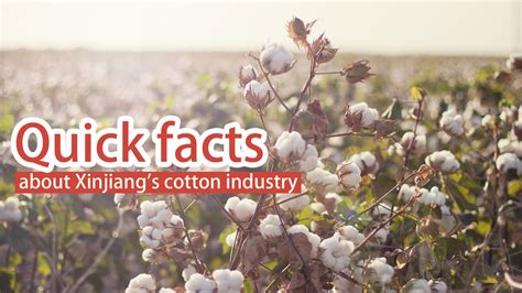 xinjiang cotton industry